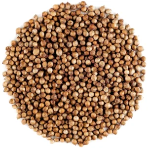 Coriander Seeds
